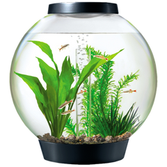 BiOrb Aquarium Kits with Lights