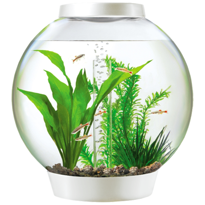 BiOrb Aquarium Kits with Lights