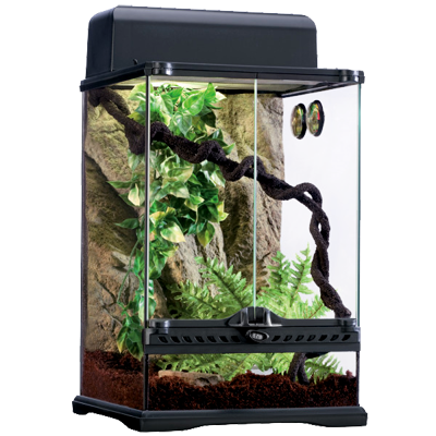 Harley-Davidson Dog Collar