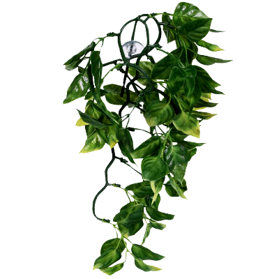 Harley-Davidson Dog Collar