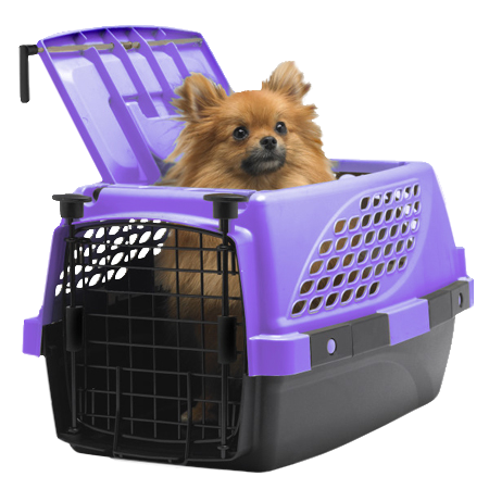 Water Bottles for Small Animals